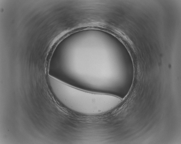 X0000067931316200604131056