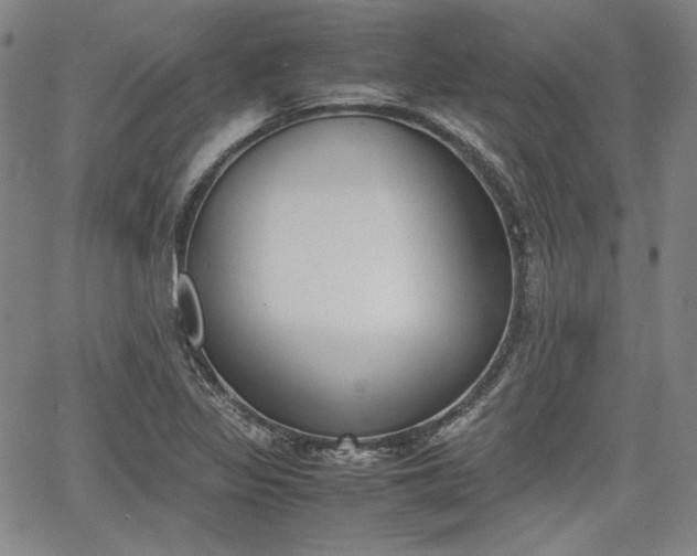 X0000067931317200604131056