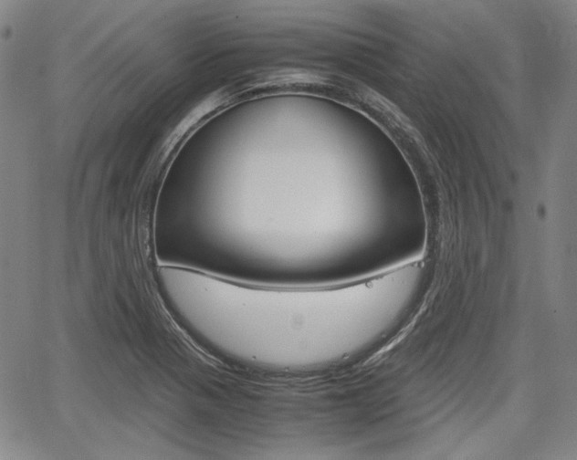 X0000067931321200604131056