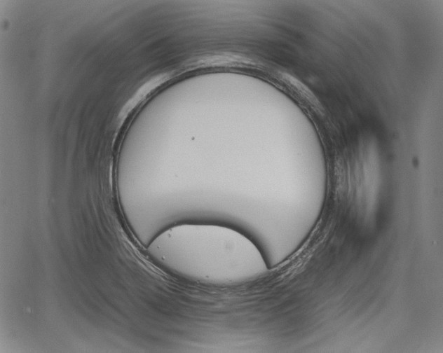 X0000067931322200604131056
