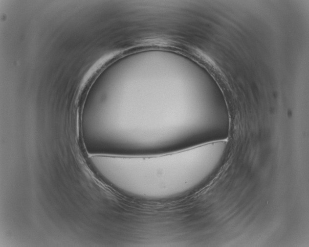 X0000067931323200604131056