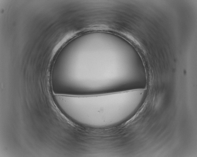 X0000067931325200604131056