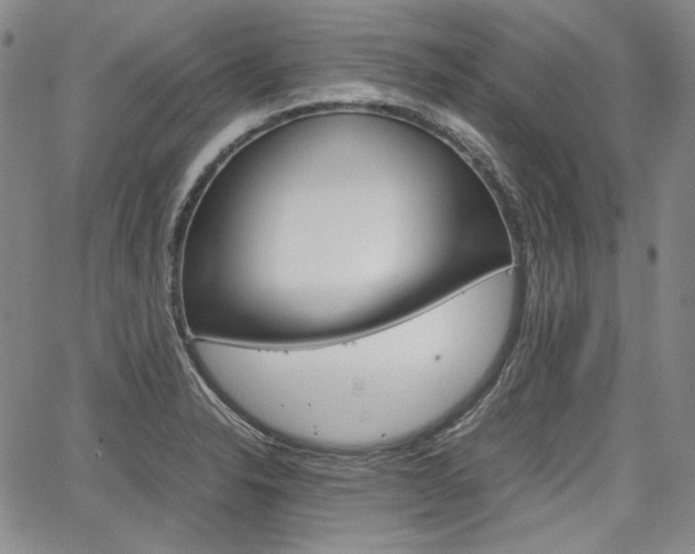 X0000067931326200604131056