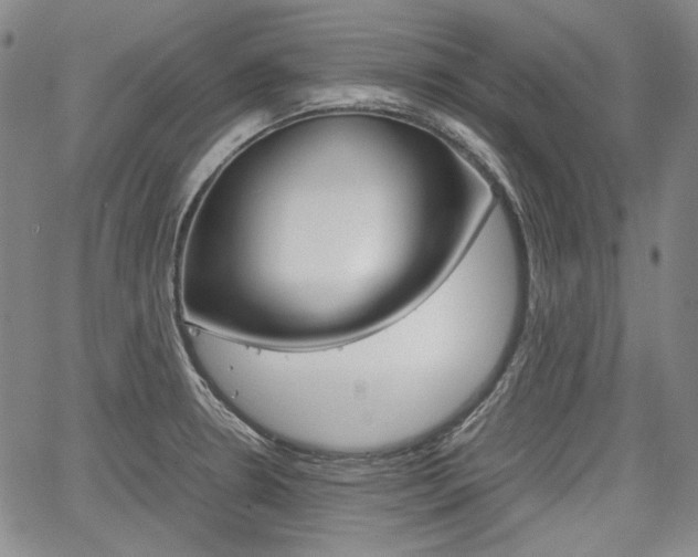 X0000067931330200604131056