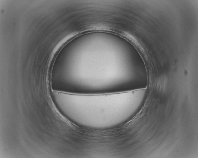 X0000067931331200604131056