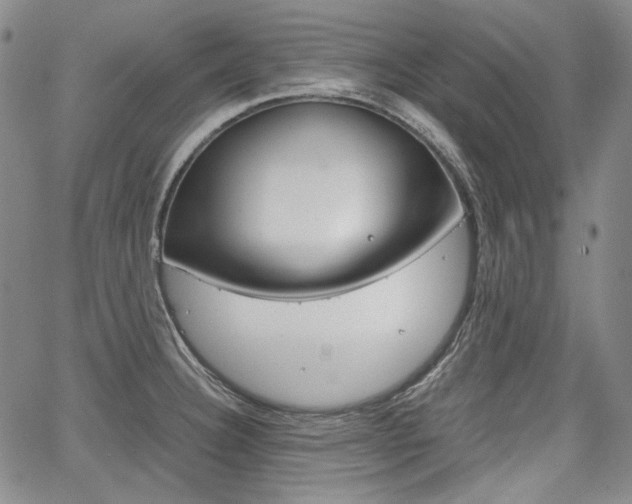 X0000067931332200604131056