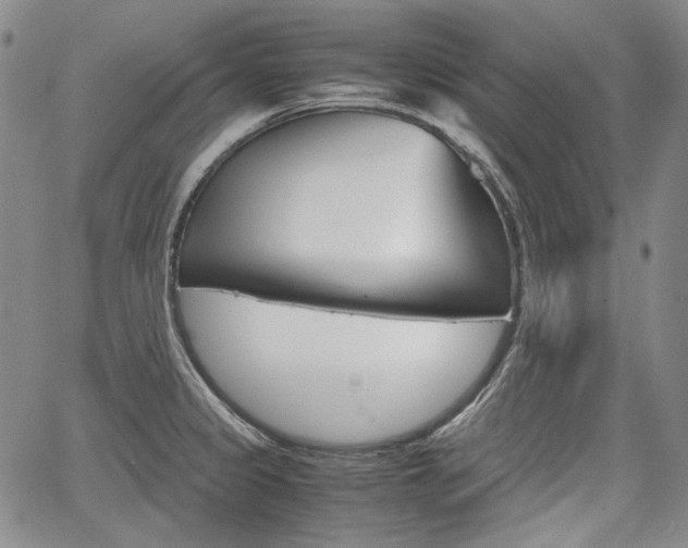 X0000067931333200604131056