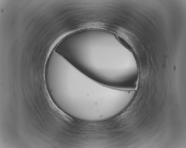 X0000067931339200604131057