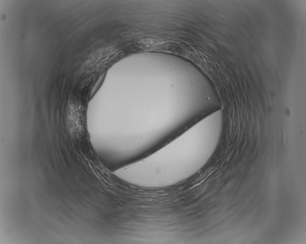X0000067931346200604131056