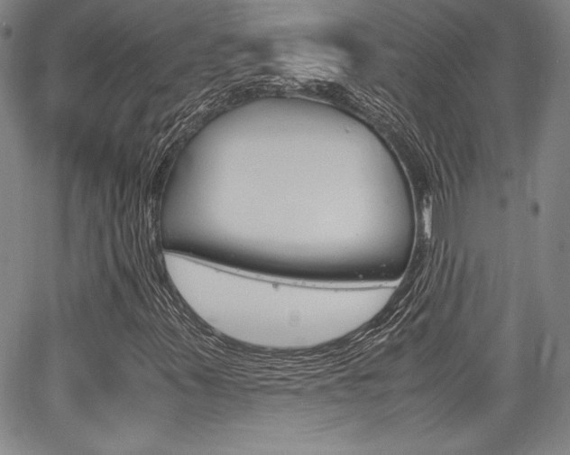 X0000067931347200604131056