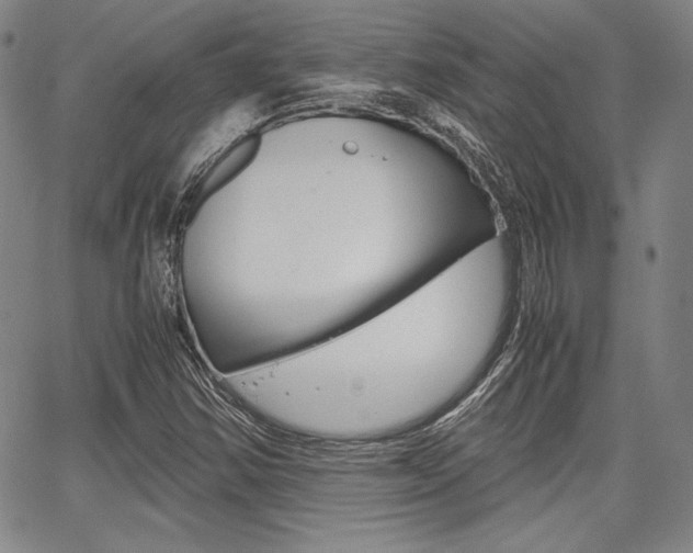 X0000067931354200604131056