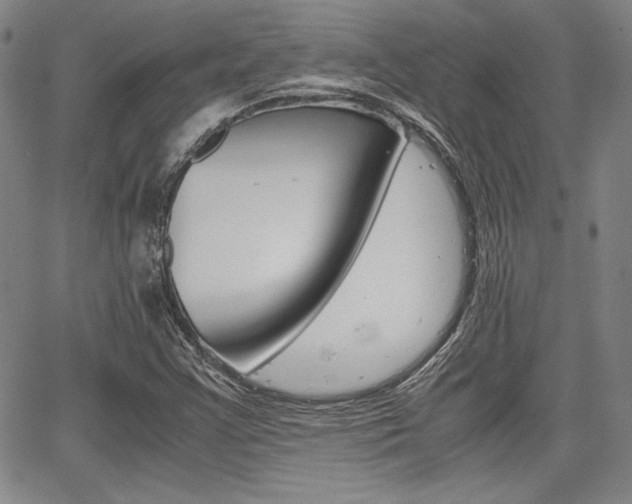 X0000067931355200604131056