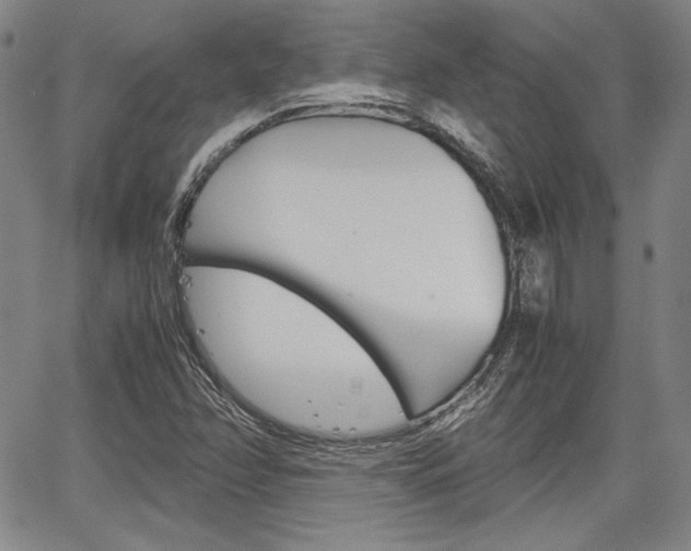 X0000067931358200604131056