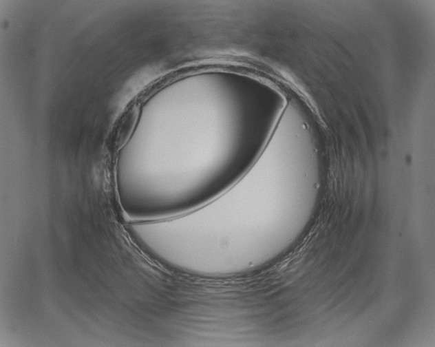 X0000067931360200604131056