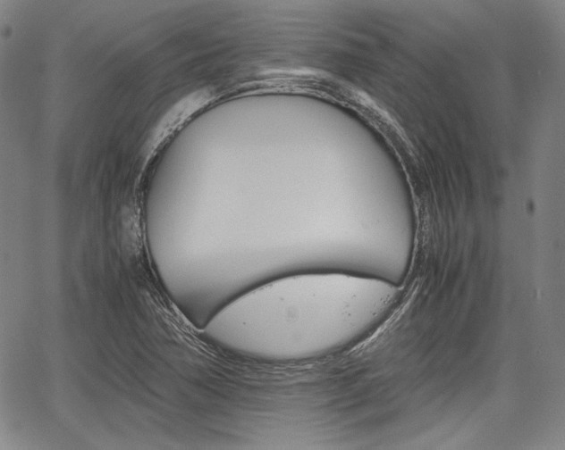 X0000067931362200604131056