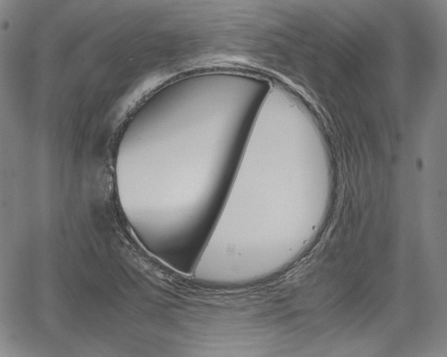 X0000067931363200604131056