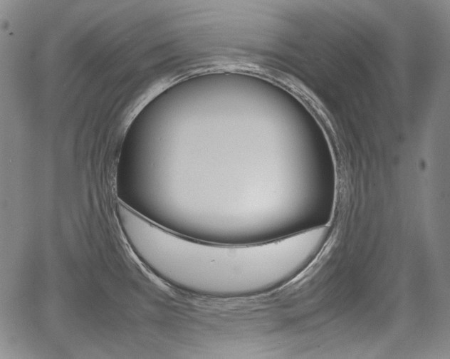 X0000067931385200604131055