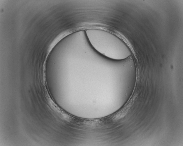 X0000067931386200604131055