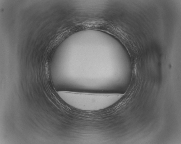 X0000067931396200604131054