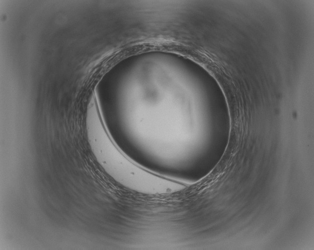 X0000067931398200604131054