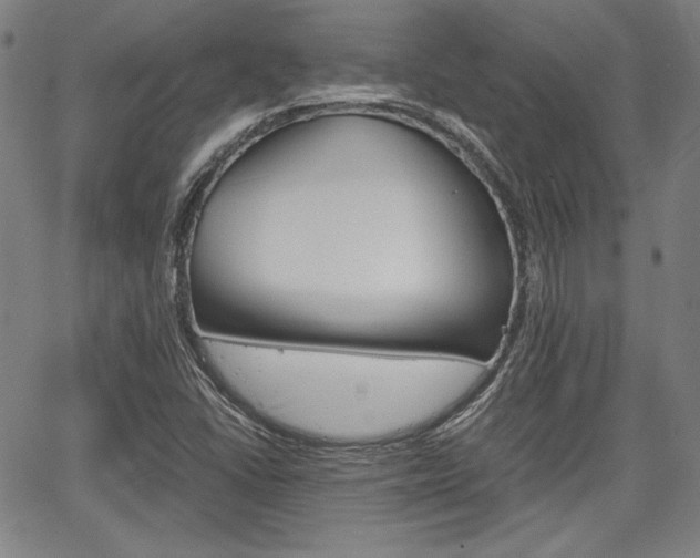 X0000067931406200604131055