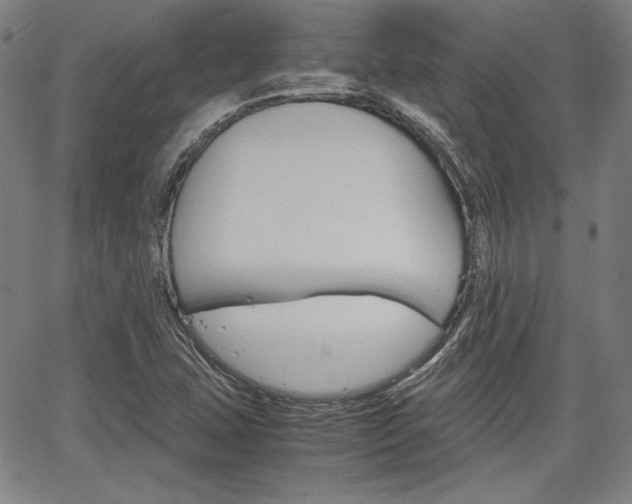 X0000067931407200604131055