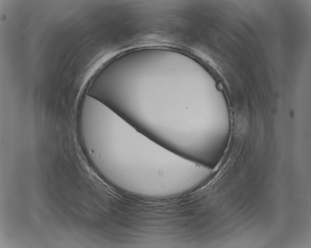 X0000067931415200604131055