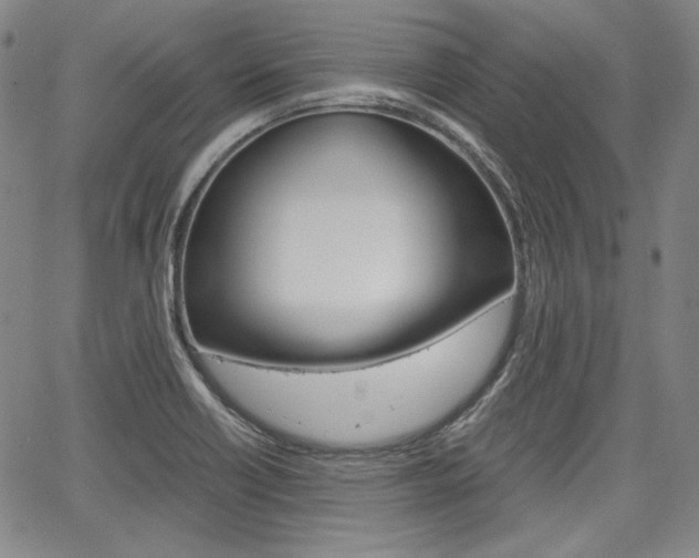 X0000067931418200604131055