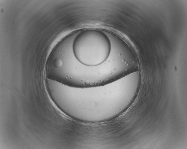 X0000067931432200604131055