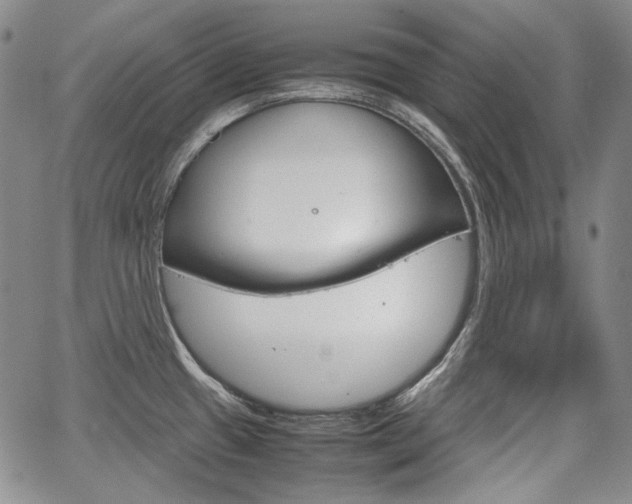X0000067931433200604131055