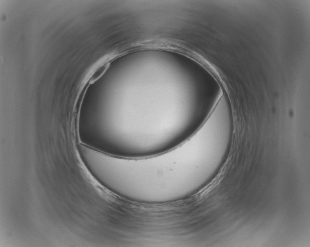 X0000067931434200604131055
