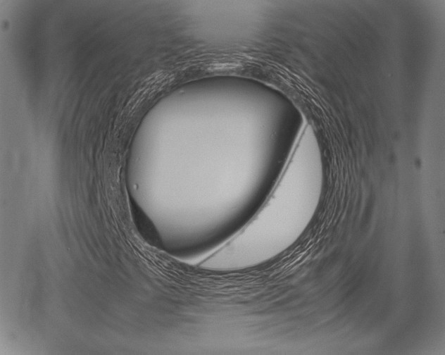 X0000067931441200604131054