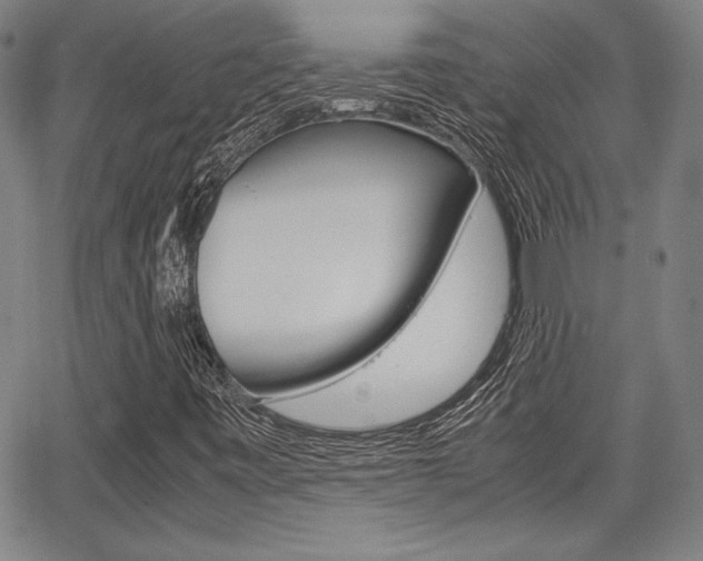 X0000067931443200604131054