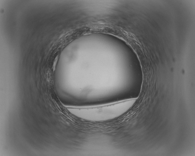 X0000067931445200604131054