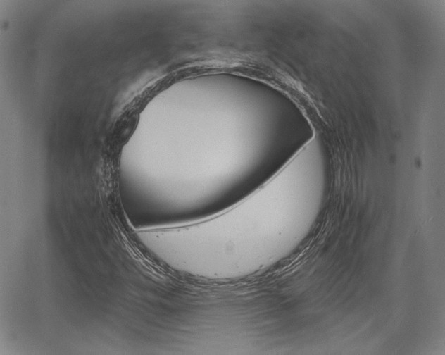 X0000067931448200604131054