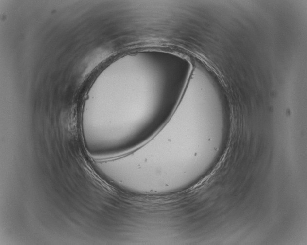 X0000067931450200604131054