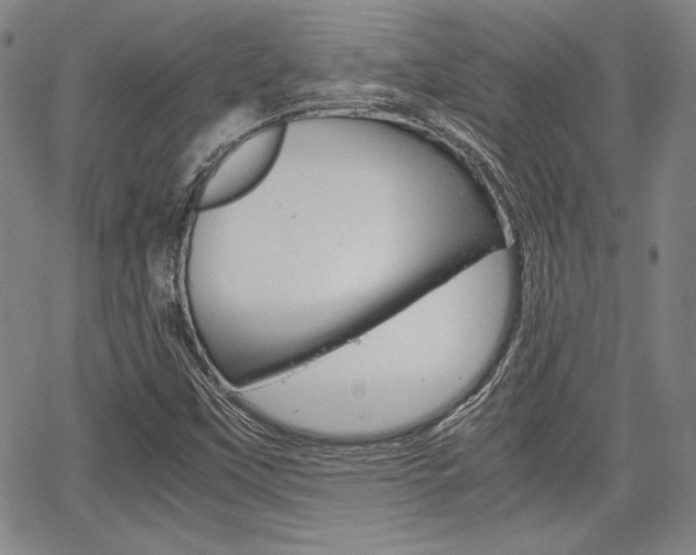 X0000067931451200604131054