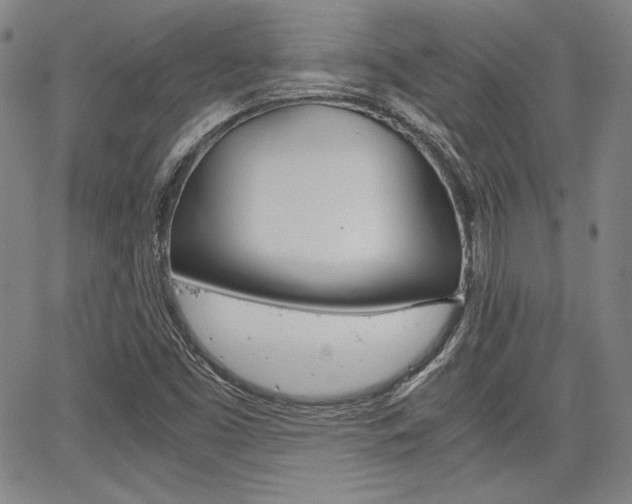X0000067931453200604131054