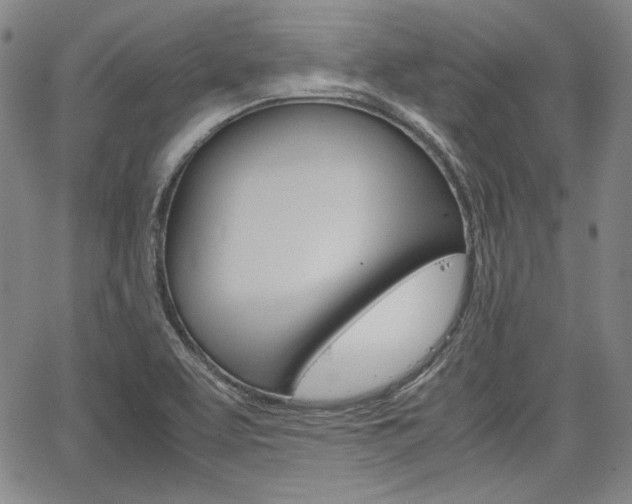 X0000067931463200604131054