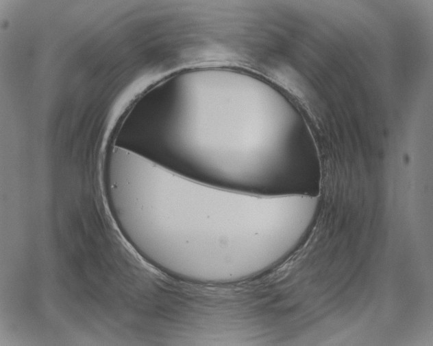 X0000067931472200604131054