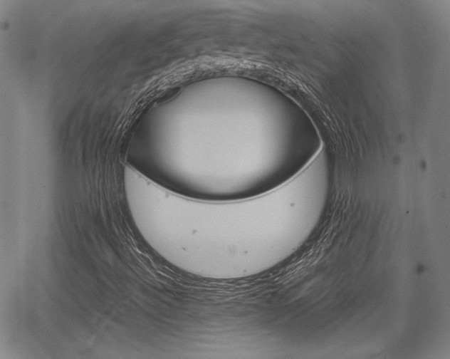 X0000067931492200604131053