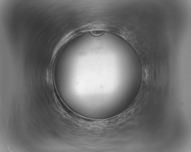 X0000067930004200604131435