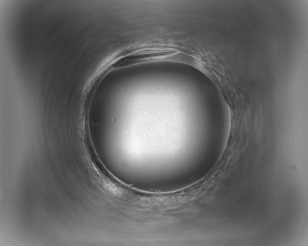 X0000067930005200604131435