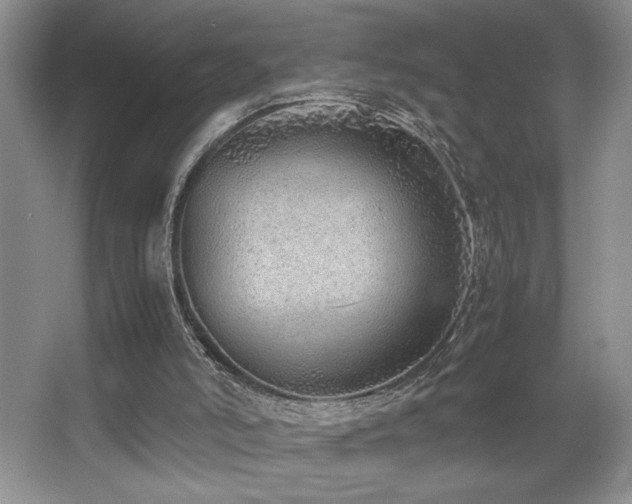 X0000067930006200604131435
