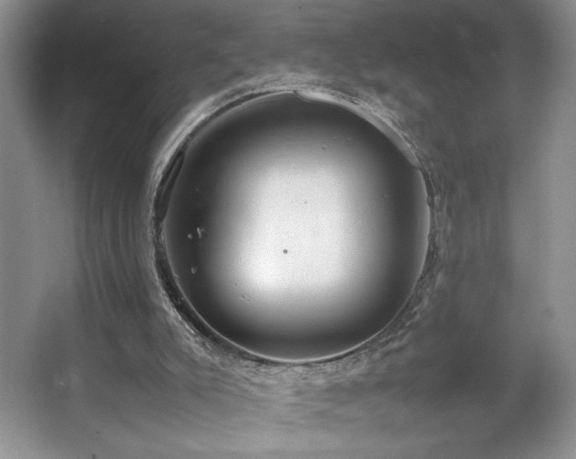 X0000067930007200604131435