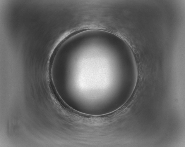 X0000067930008200604131435