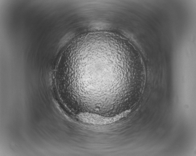 X0000067930010200604131435