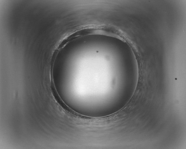 X0000067930011200604131435