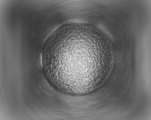 X0000067930014200604131435