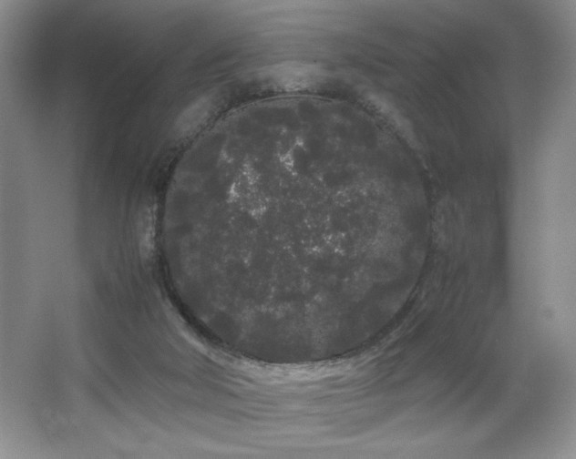 X0000067930018200604131435
